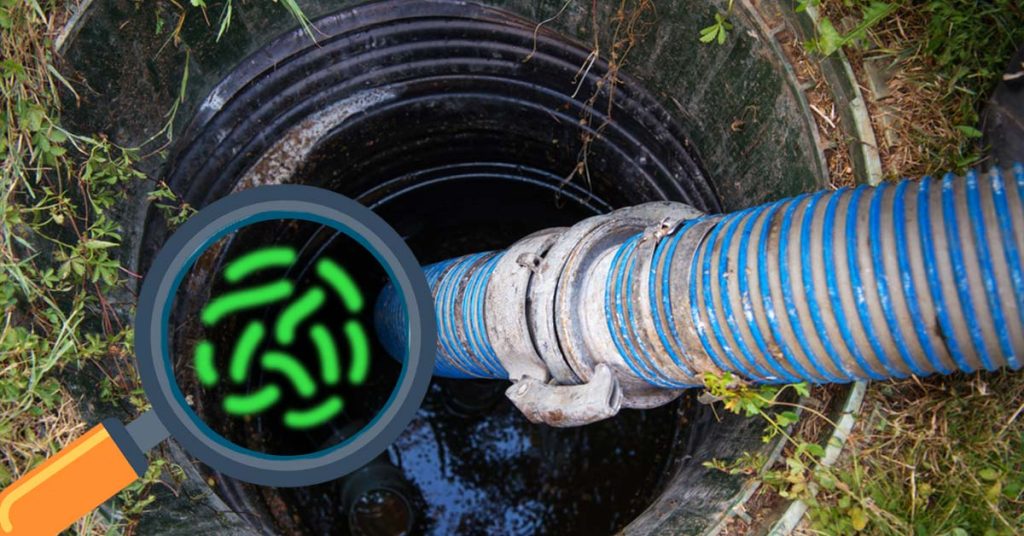 Bacteria Improve Septic Tank